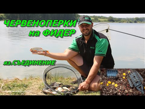 Видео: РИБОЛОВ с ФИДЕР за ЧЕРВЕНОПЕРКИ на яз.СЪЕДИНЕНИЕ