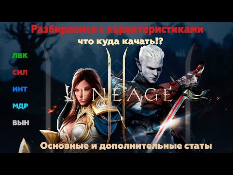 Видео: Lineage 2M-Разбираемся с Характеристиками, что качать? Основные и Доп. статы! Все классы!