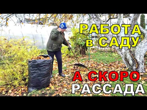 Видео: Это можно делать бесконечно. Зато весело. Новая лампа с линзой. Салаты растут как на дрожжах