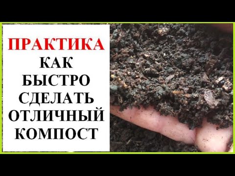 Видео: Как сделать хороший компост быстро