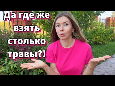 Видео: ГДЕ Я БЕРУ МНОГО ТРАВЫ ДЛЯ МУЛЬЧИРОВАНИЯ. БЕСПЛАТНЫЕ ВАРИАНТЫ БОЛЬШОГО КОЛИЧЕСТВА МУЛЬЧИ