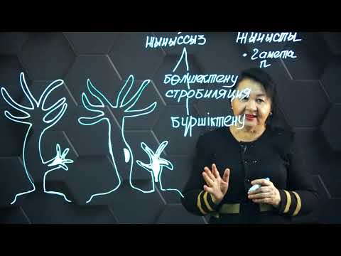 Видео: Тірі ағзалардың көбею түрлері. 8 сынып.