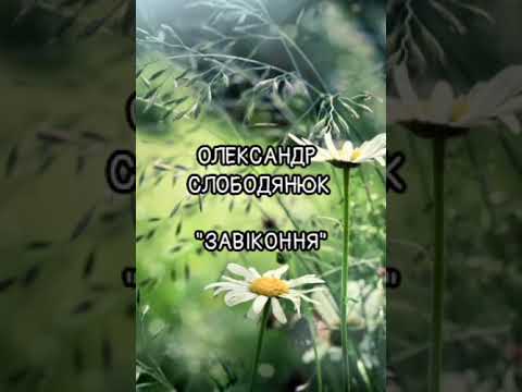 Видео: Олександр Слободянюк "Завіконня" #youtube #відеопоезія 