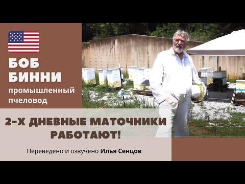 Видео: 2-х дневные маточники работают! Но...Эксперимент Боба Бинни (США)