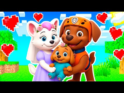 Видео: РОКСИ и ЗУМА РОДИЛИ РЕБЁНКА ЩЕНЯЧИЙ ПАТРУЛЬ в МАЙНКРАФТ PAW PATROL МУЛЬТИК