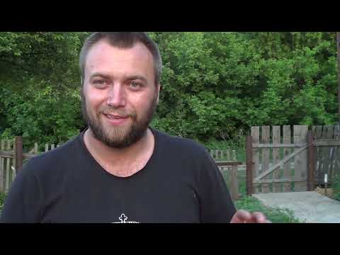 Видео: Мотоблок Мтз (Беларус) междурядная обрабатка картофеля плоскорезом