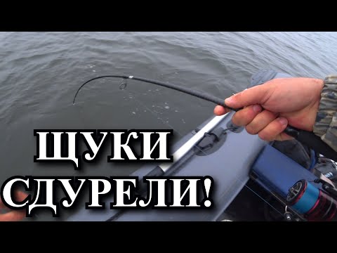Видео: Эти щуки СДУРЕЛИ Я такого еще не видел! Поклевки типа отдай спиннинг я забью тебя им!