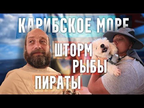 Видео: Спасаемся от пиратов || Весёлая ночка || Отказ матроса готовить  || ЧП на борту