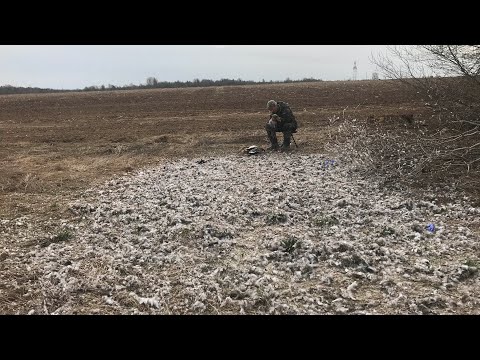 Видео: Охота на гуся - как сохранить птицу в полевых условиях???