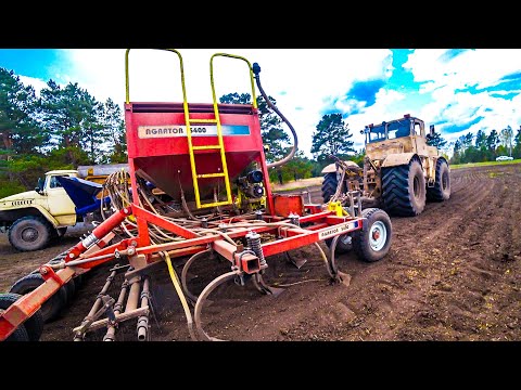 Видео: Кировец К-701 и Урал 5557. Трудная посевная 2023 года!