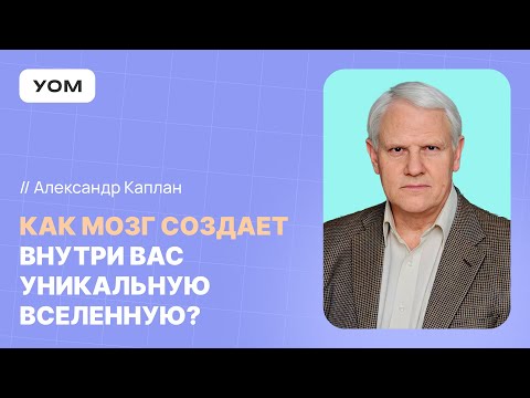Видео: Мозг и мышление. Как работает мозг и сознание человека? Александр Каплан