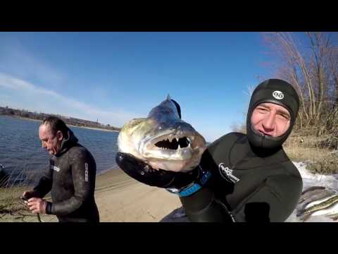 Видео: Подводная охота на Волге в марте!!! Часть 2 !!! Много рыбы!!!