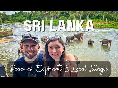 Видео: Чудеса Шри-Ланки: приюты для слонов в Негомбо и Пиннавеле