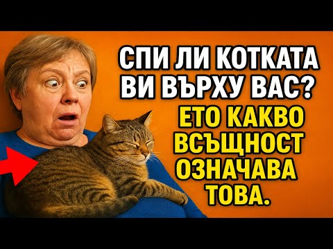 Видео: Спи ли котката ви върху вас? Ето какво всъщност означава това.
