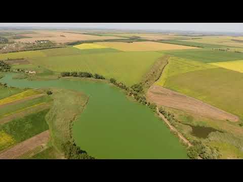 Видео: с. Великі Кринки, Глобинський район