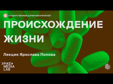 Видео: Онлайн-лекция Ярослава Попова "Происхождение жизни" | Дарвиновский музей