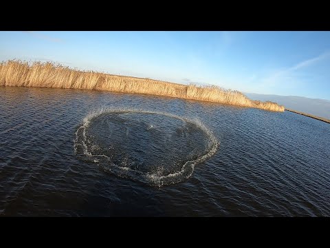 Видео: О ТАКОЙ РЫБАЛКЕ МЕЧТАЮТ ВСЕ КАСТИНГИСТЫ.ТРОФЕЙНЫЕ СИБИРСКИЕ РЫБИНЫ...