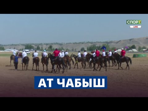 Видео: Ат чабыш | Түз эфир