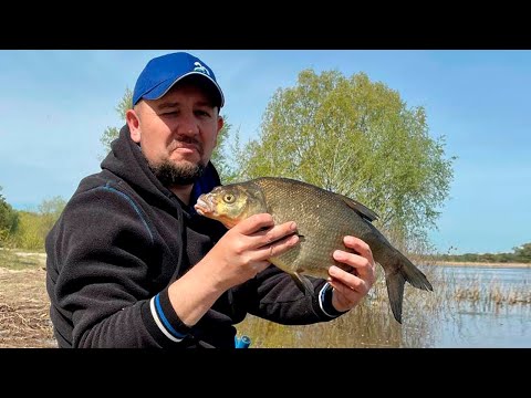 Видео: Що робить коли не клює на фідер.Секрети фідерного лову.