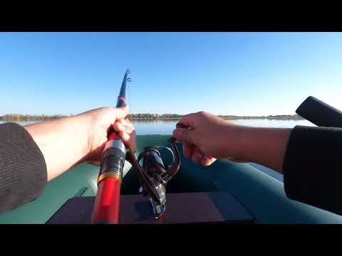 Видео: Саздинское водохранилище 29. 09. 2024 года .