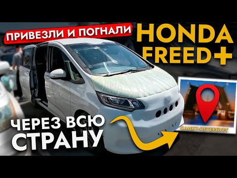 Видео: Купили Honda Freed+❗️ Цены ИЮНЬ 2025❗️Лучший минивэн для семьи под заказ из Японии