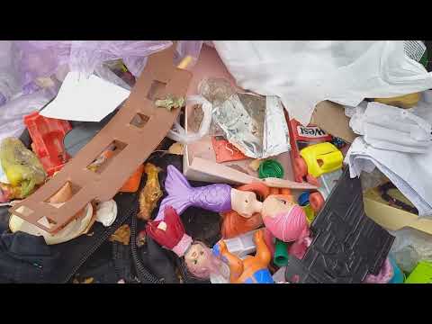 Видео: Медный день, Удачная и редкая находка.