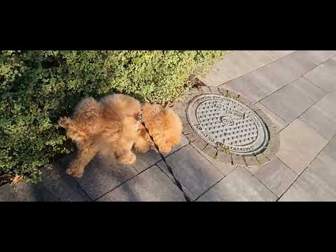 Видео: 27 августа 2025 г.
