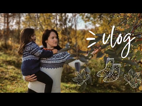 Видео: VLOG 42/2022 | ГОТОВАЯ РАБОТА | ПРО ЛОПАПЕЙСУ | ДЕЛЮСЬ СЕКРЕТАМИ ИДЕАЛЬНОЙ ПОСАДКИ КРУГЛОЙ КОКЕТКИ