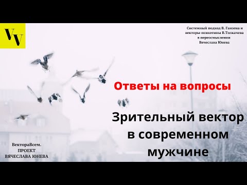 Видео: Зрительный вектор в современном мужчине. ВектораВсем. Проект Вячеслава Юнева