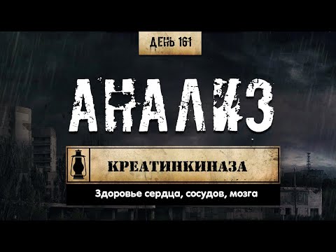 Видео: 161. Креатинкиназа | Повышение КФК во время курса (Химический бункер)