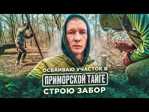 Видео: #1 СТРОЮ ЗАБОР.ОДИН В ТАЙГЕ.ОСВАИВАЮ ГЕКТАРЫ