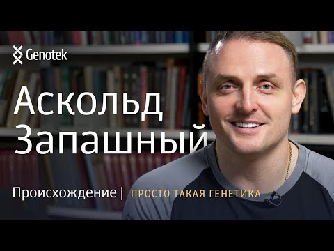 Видео: АСКОЛЬД ЗАПАШНЫЙ// ПРОИСХОЖДЕНИЕ. ПРОСТО ТАКАЯ ГЕНЕТИКА