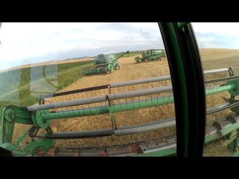 Видео: Дон 1500Б х3 Уборка пшеницы часть 1.