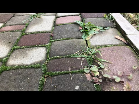 Видео: Лучший способ очистки брусчатки  и других поверхностей от загрязнений