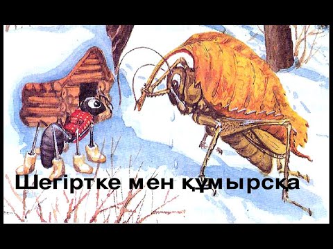 Видео: Шегіртке мен құмырсқа!