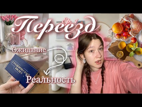 Видео: Переезд, первая неделя в вузе, рецепты и неудачное знакомство || zalem