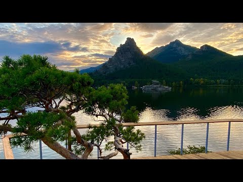 Видео: Осенняя традиция. Мини влог. Боровое