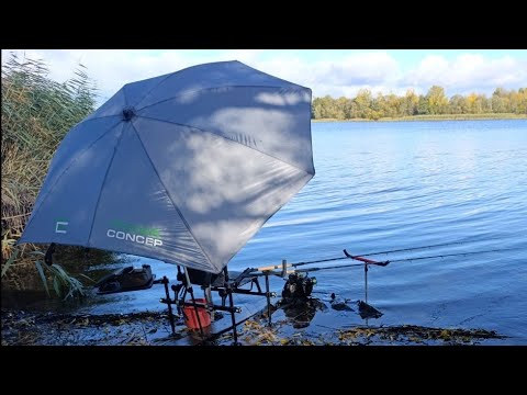 Видео: Ловля на фидер леща осенью на озере.