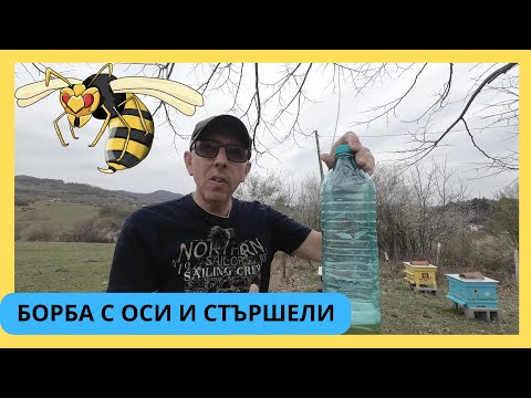 Видео: БОРБА С ОСИ И СТЪРШЕЛИ