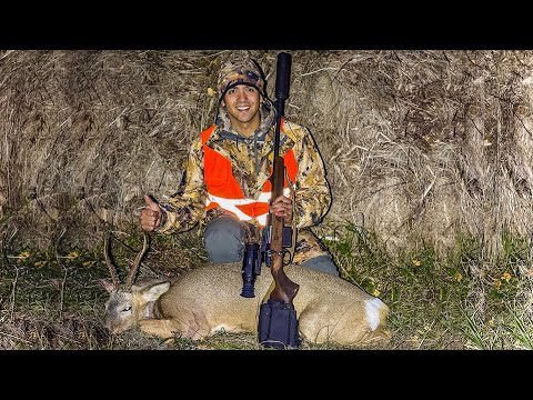 Видео: Сезон охоты на самца косули | Добыл долгожданный трофей с прицелом SFH VARG L25