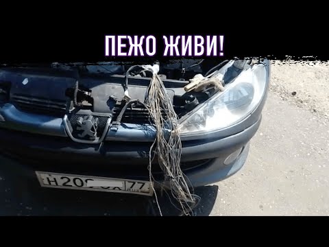 Видео: ПЕЖО 206 ГЛОХНЕТ НА ХОДУ! КАК РЕШИТЬ ПРОБЛЕМУ