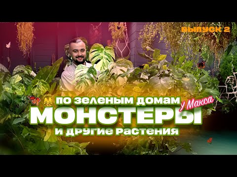 Видео: По зеленым домам. Выпуск 2. Обзор комнатных растений в Казани от Maxgreenhome.