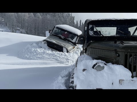 Видео: Гизла 22.12.2021