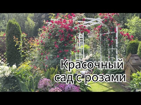 Видео: Красочный сад с розами обволакивает уютом и теплом