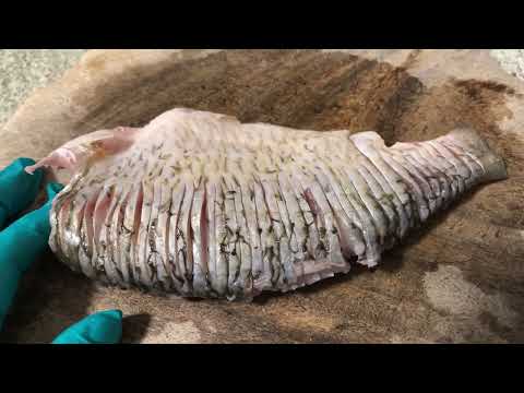 Видео: Рыба без костей. Как правильно надрезать чтобы не было костей. Краснопёрка  в сметане.