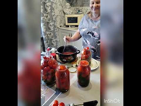 Видео: 28 августа 2025 г.