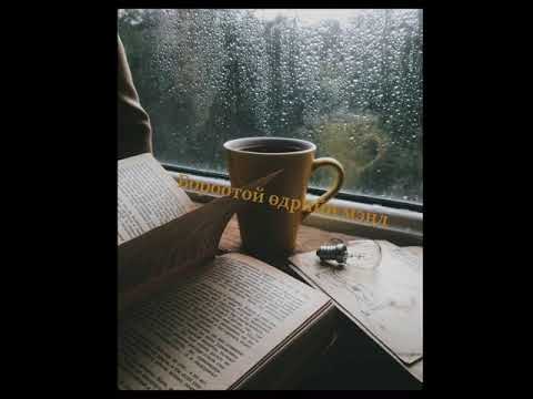 Видео: 🌧 Бороотой өдрийн мэнд 🌧 Mongolian ASMR (trigger words, book review)