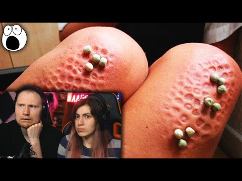 Видео: Очень Странные Школьные Правила Со Всего Мира | РЕАКЦИЯ на  WTFакт