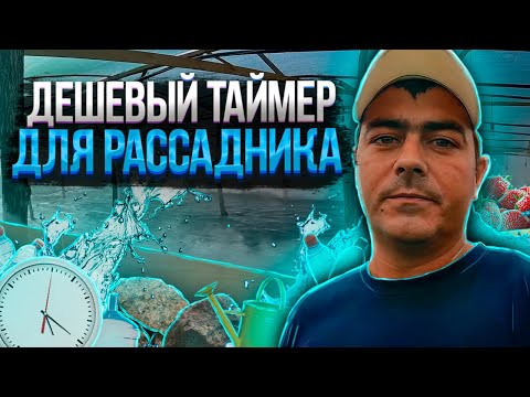 Видео: Таймер для тумана дешево и практично почему я раньше так не сделал!?Как делаю кассетную рассаду.