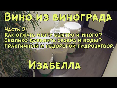 Видео: Вино из винограда Изабелла (ч.2)